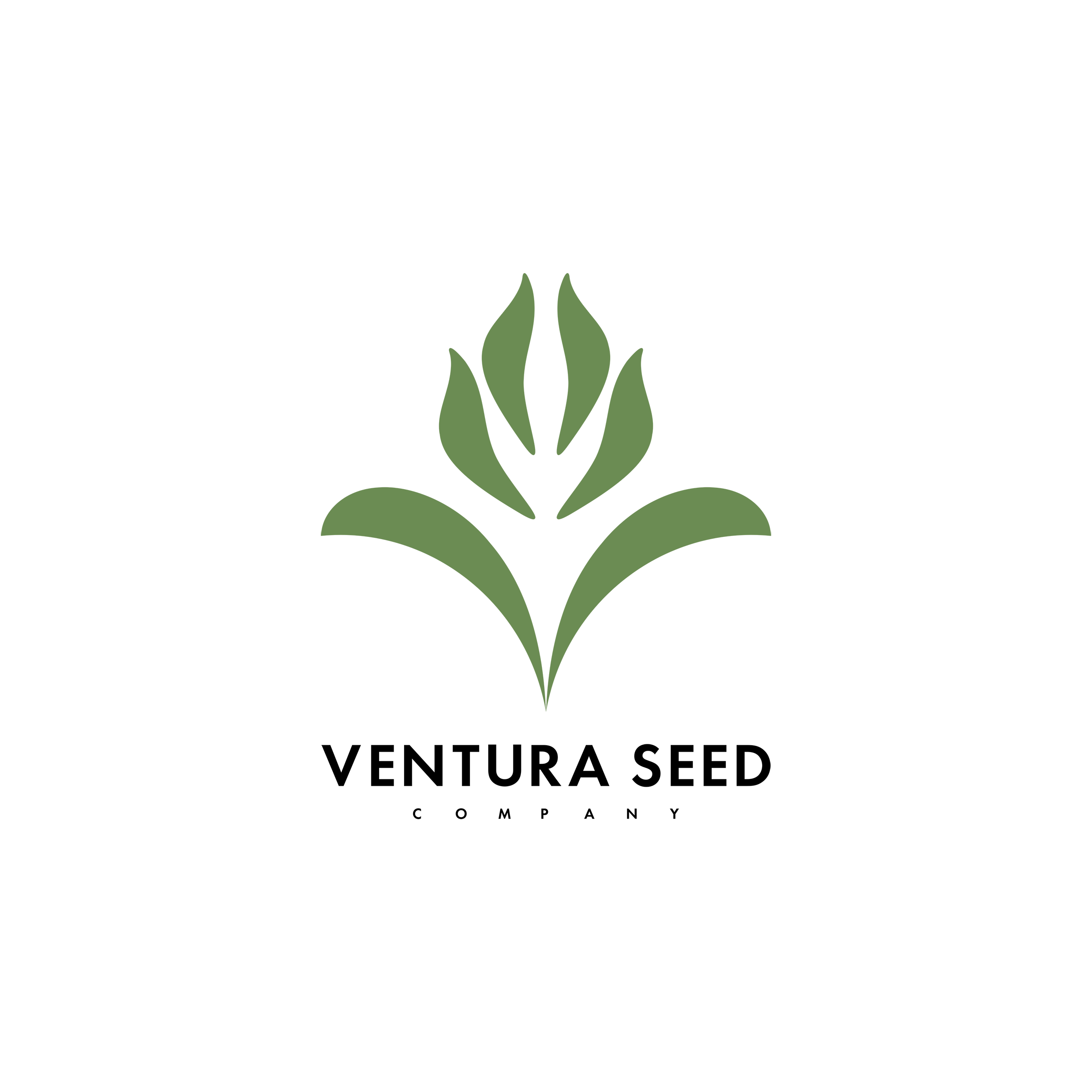Ventura Seed Company